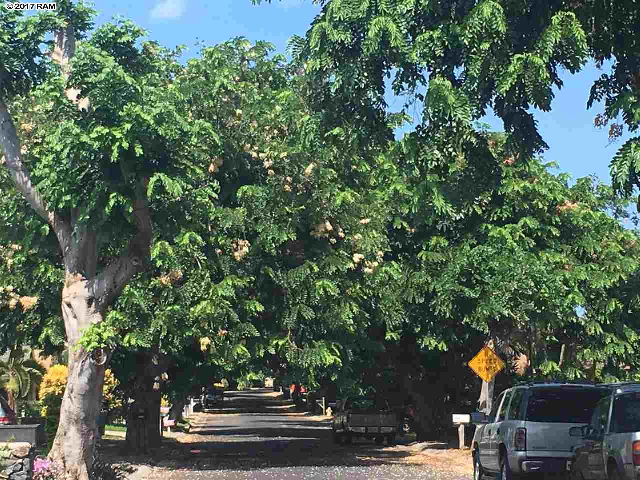 852  Malulani St Piilani Villages, Kihei home - photo 2 of 15