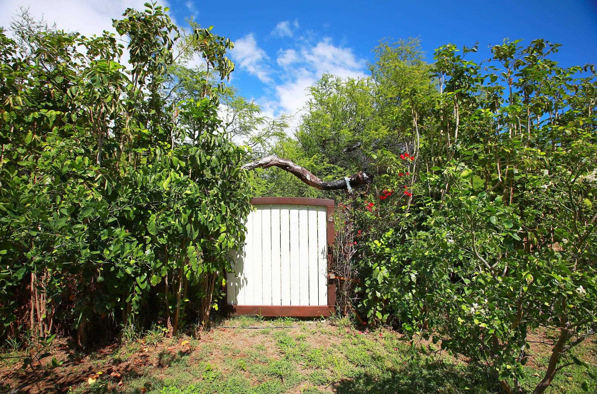 854  Olowalu Rd Olowalu, Olowalu home - photo 34 of 44