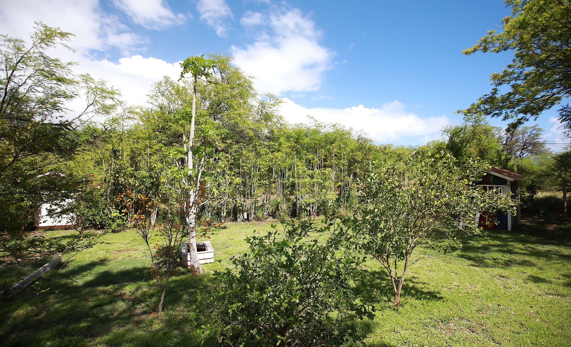 854  Olowalu Rd Olowalu, Olowalu home - photo 42 of 44