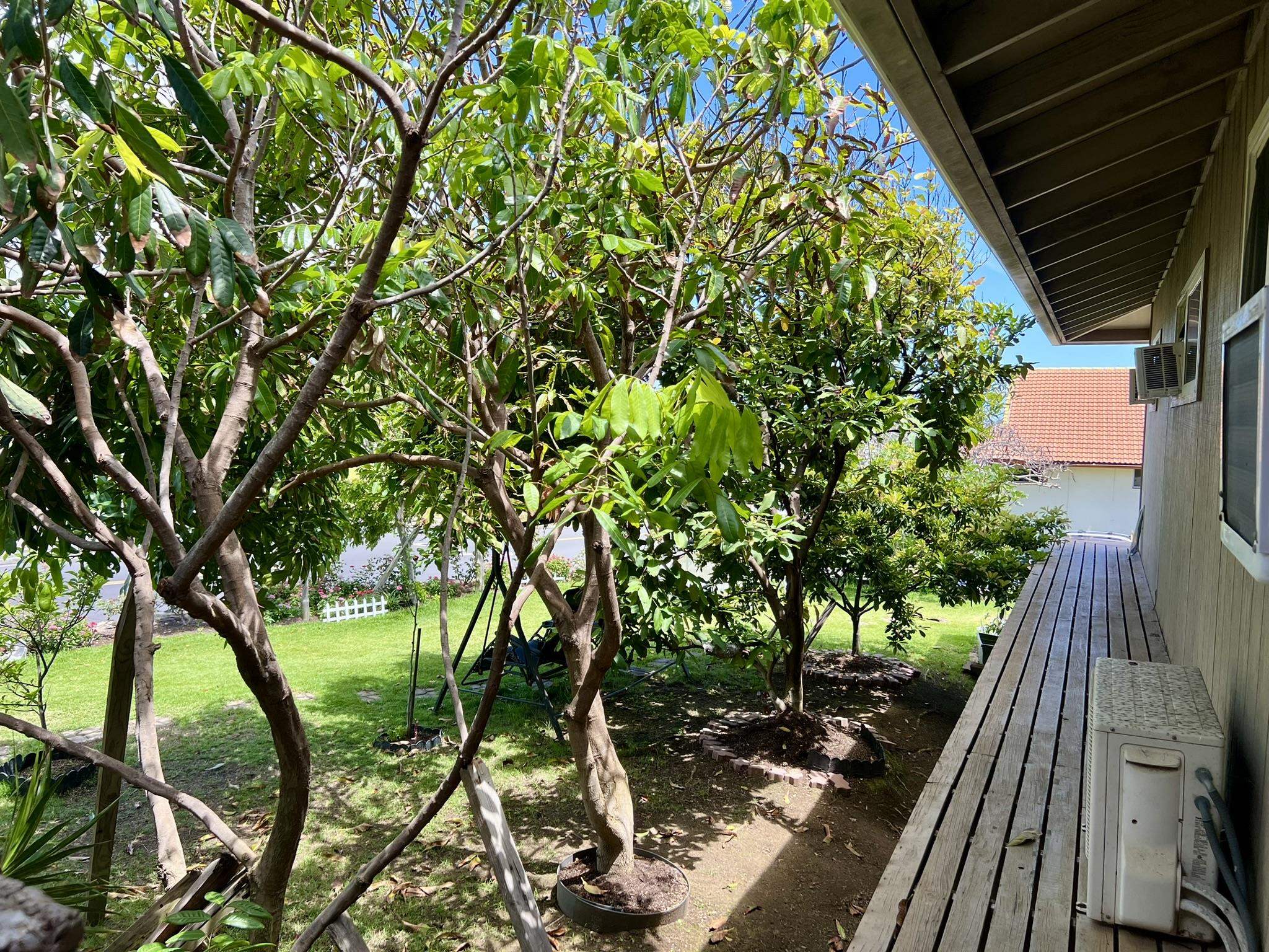 855  Wailupe Dr Waiehu Heights, Wailuku home - photo 24 of 38