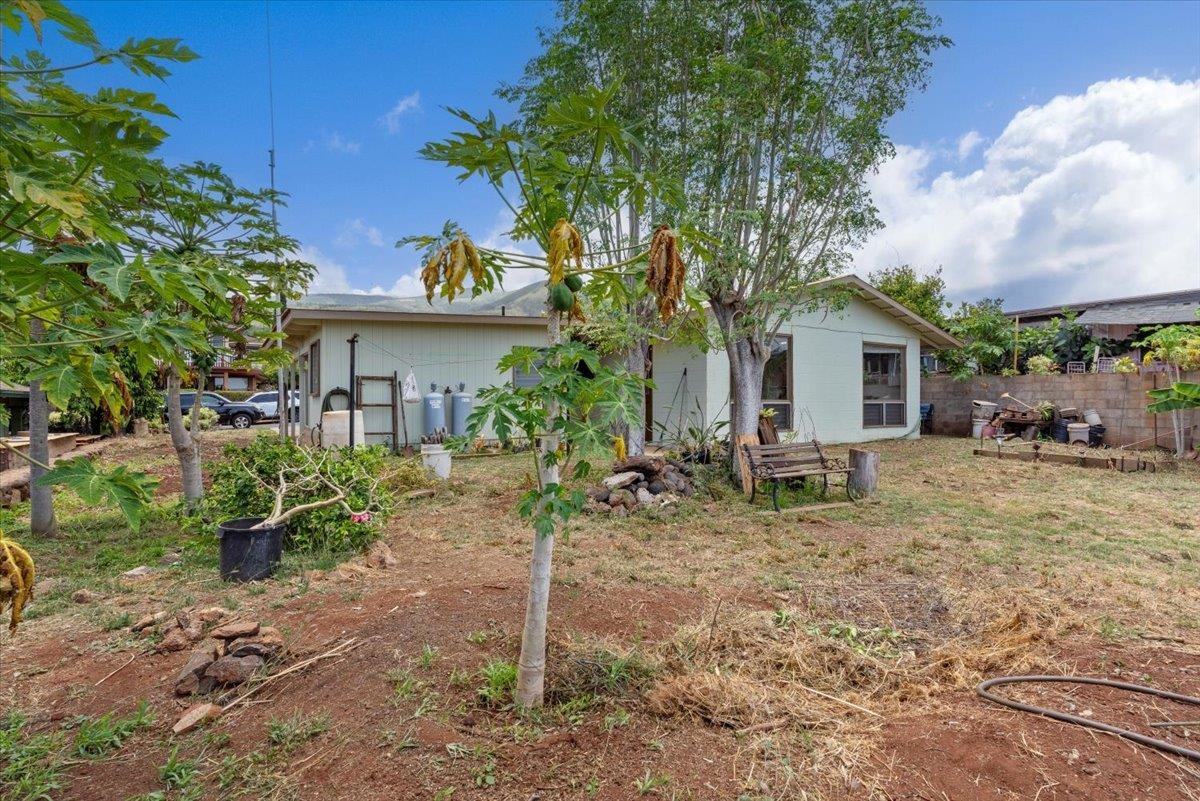 857  Hopoe St , Lahaina home - photo 22 of 40