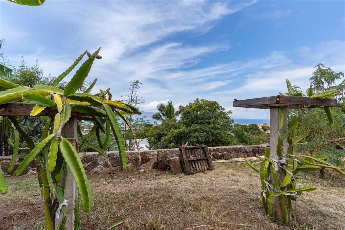 857  Hopoe St , Lahaina home - photo 38 of 40