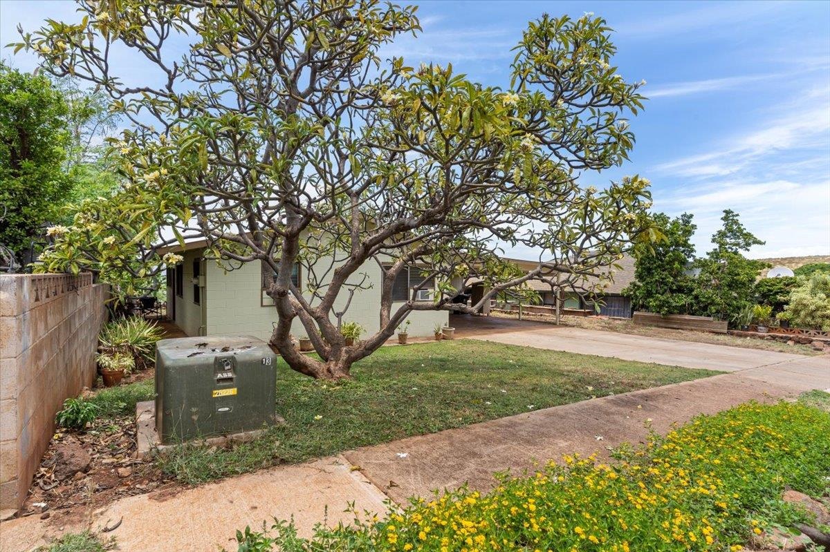 857  Hopoe St , Lahaina home - photo 5 of 40