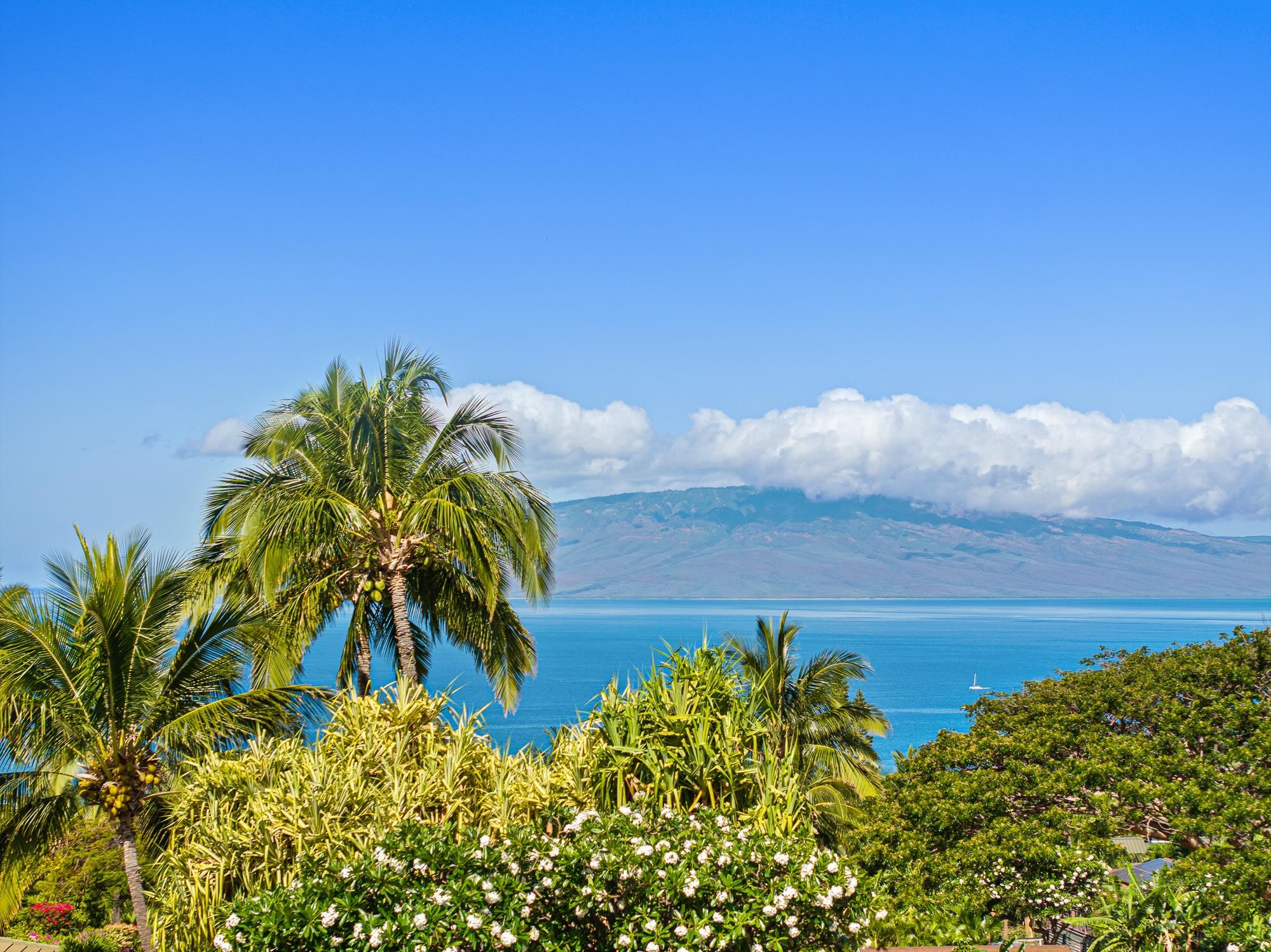 858  Kai Hele Ku St Launiupoko, Lahaina home - photo 16 of 50