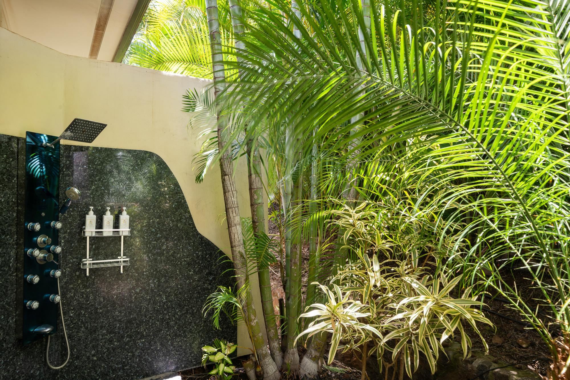 858  Kai Hele Ku St Launiupoko, Lahaina home - photo 29 of 50