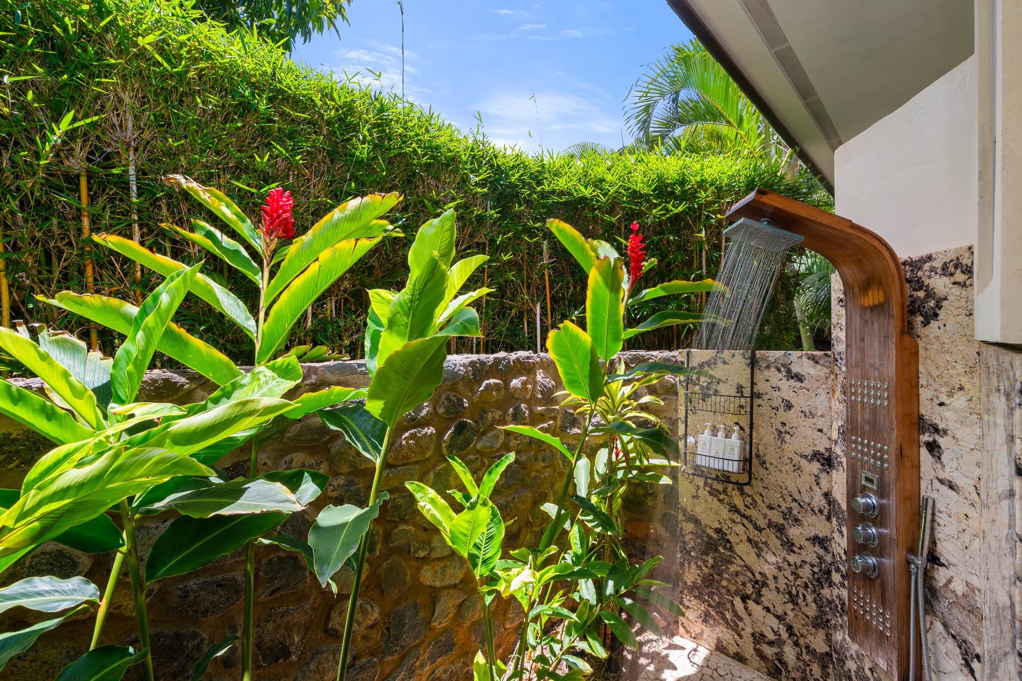 858  Kai Hele Ku St Launiupoko, Lahaina home - photo 32 of 50