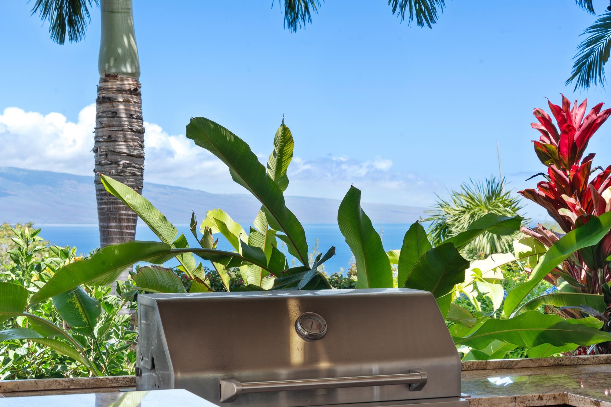 858  Kai Hele Ku St Launiupoko, Lahaina home - photo 39 of 50