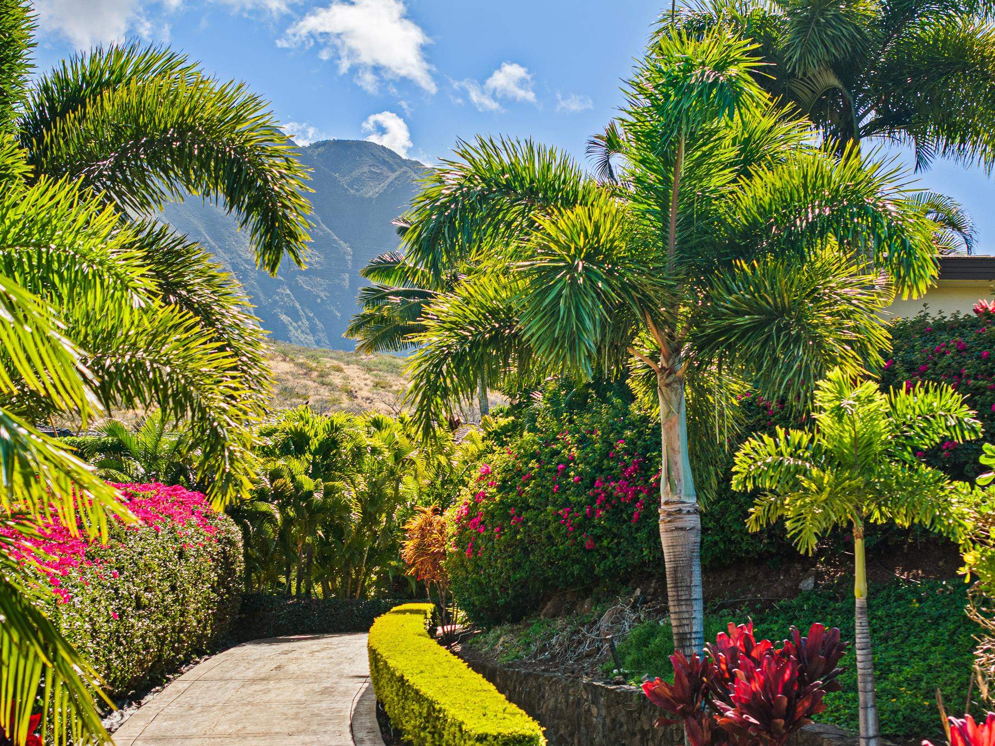 858  Kai Hele Ku St Launiupoko, Lahaina home - photo 5 of 50