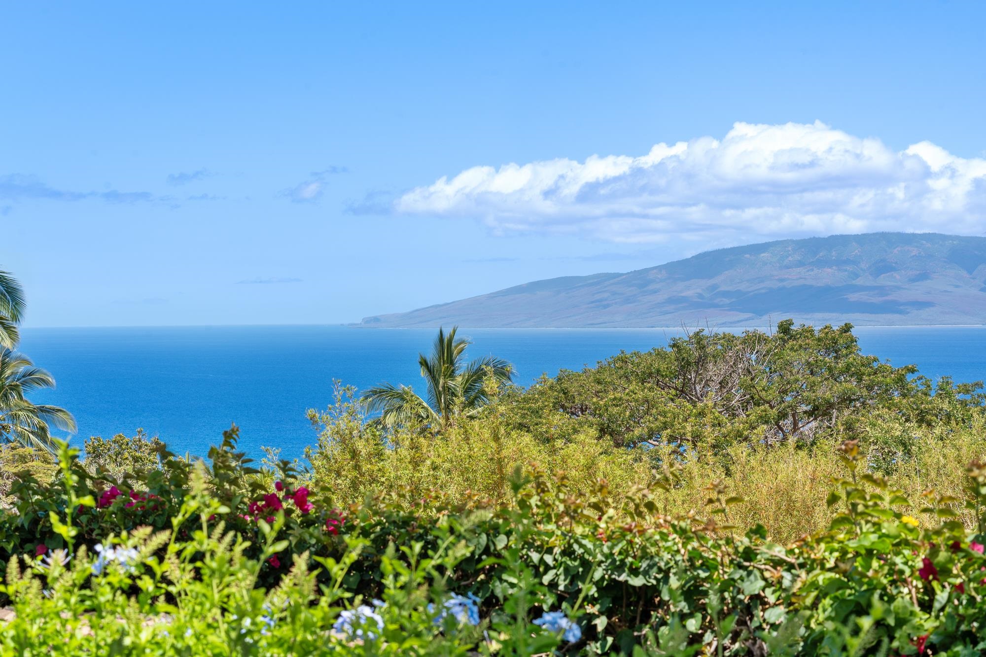 858  Kai Hele Ku St Launiupoko, Lahaina home - photo 42 of 50