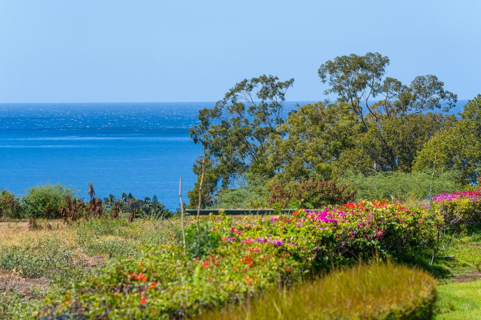 Kanani Wailea condo # 32, Kihei, Hawaii - photo 45 of 49