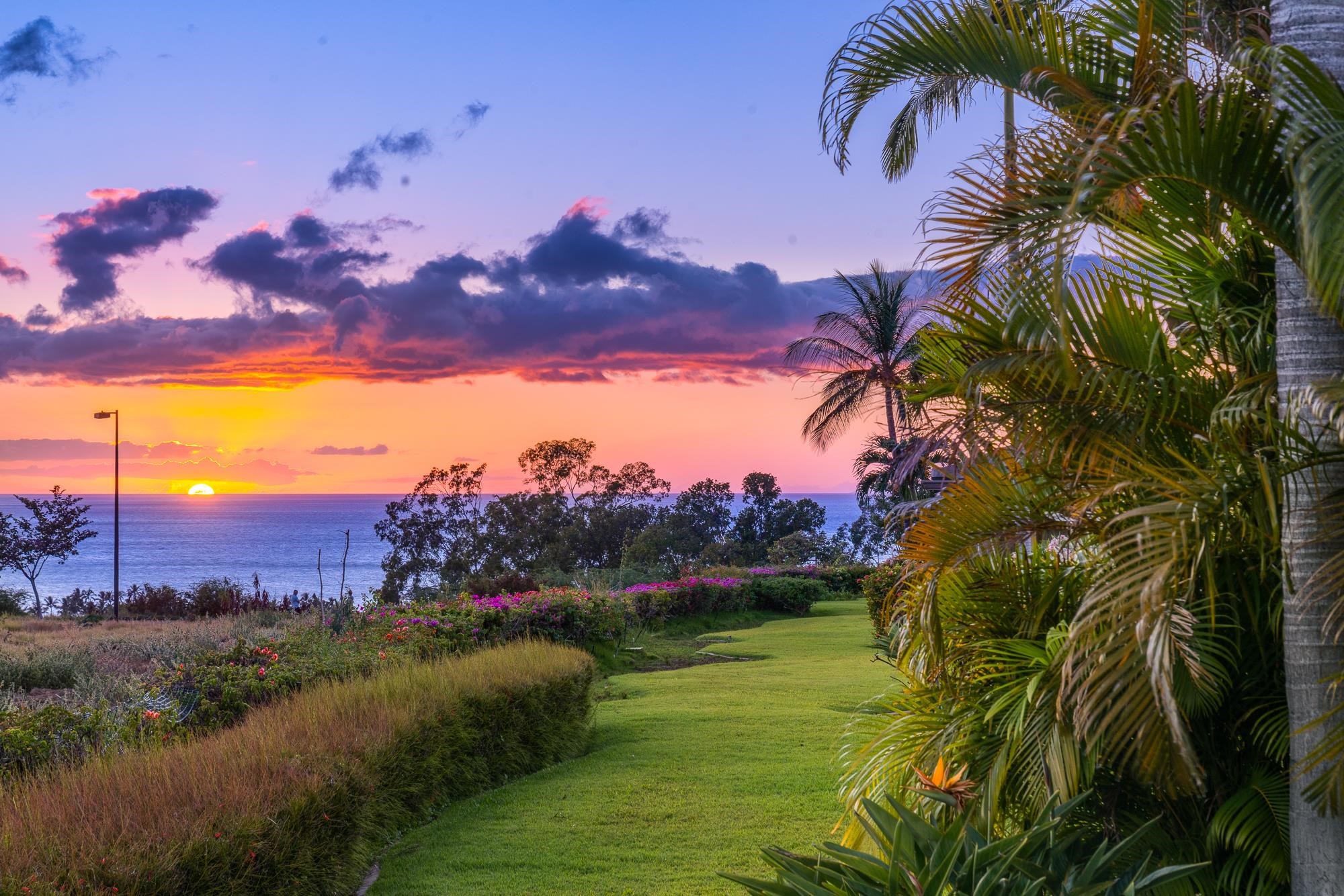 86  Poailani Pl Wailea, Wailea/Makena home - photo 2 of 49