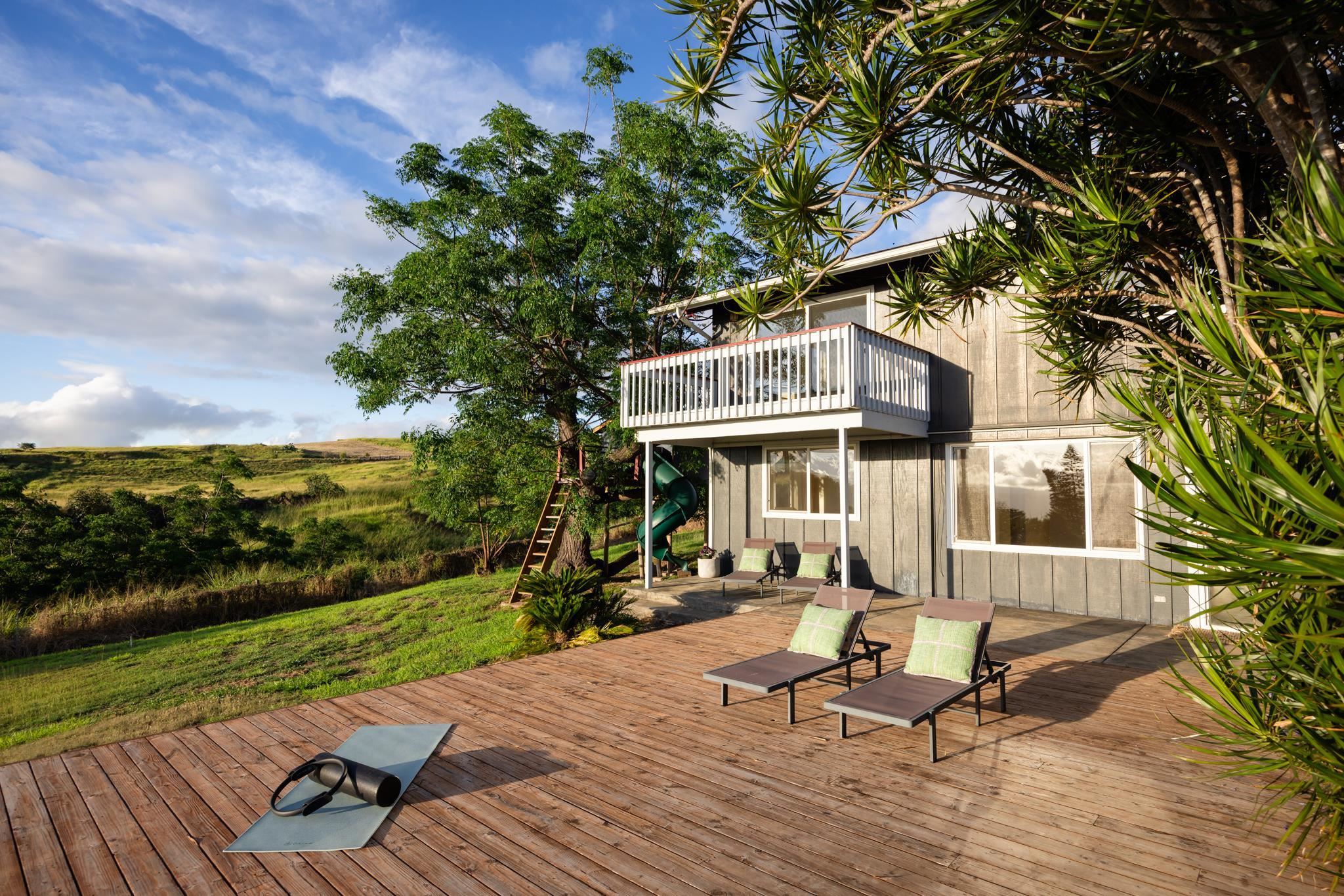 860  Holopuni Rd , Kula/Ulupalakua/Kanaio home - photo 34 of 45