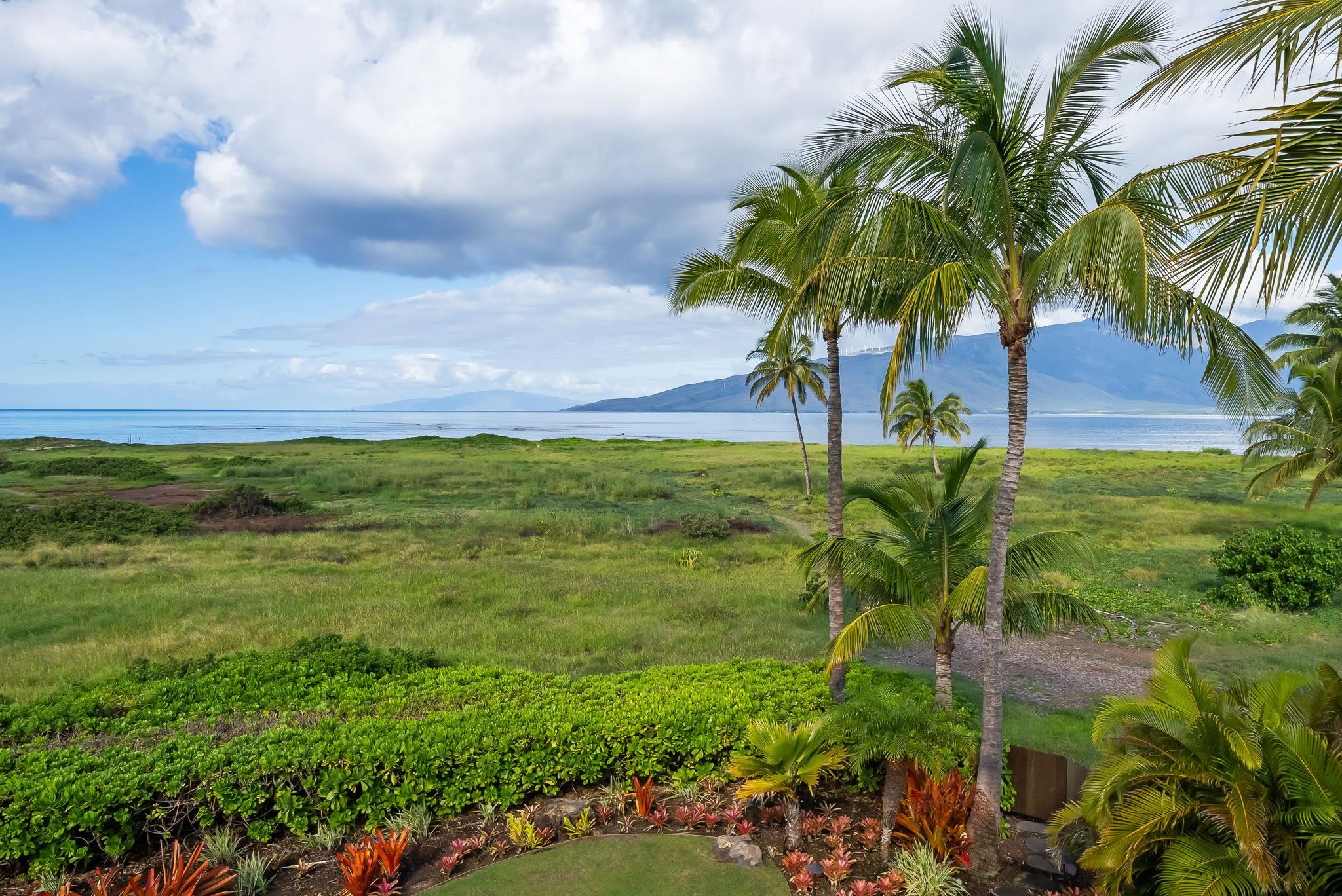 860  Kihei Rd , Kihei home - photo 49 of 50