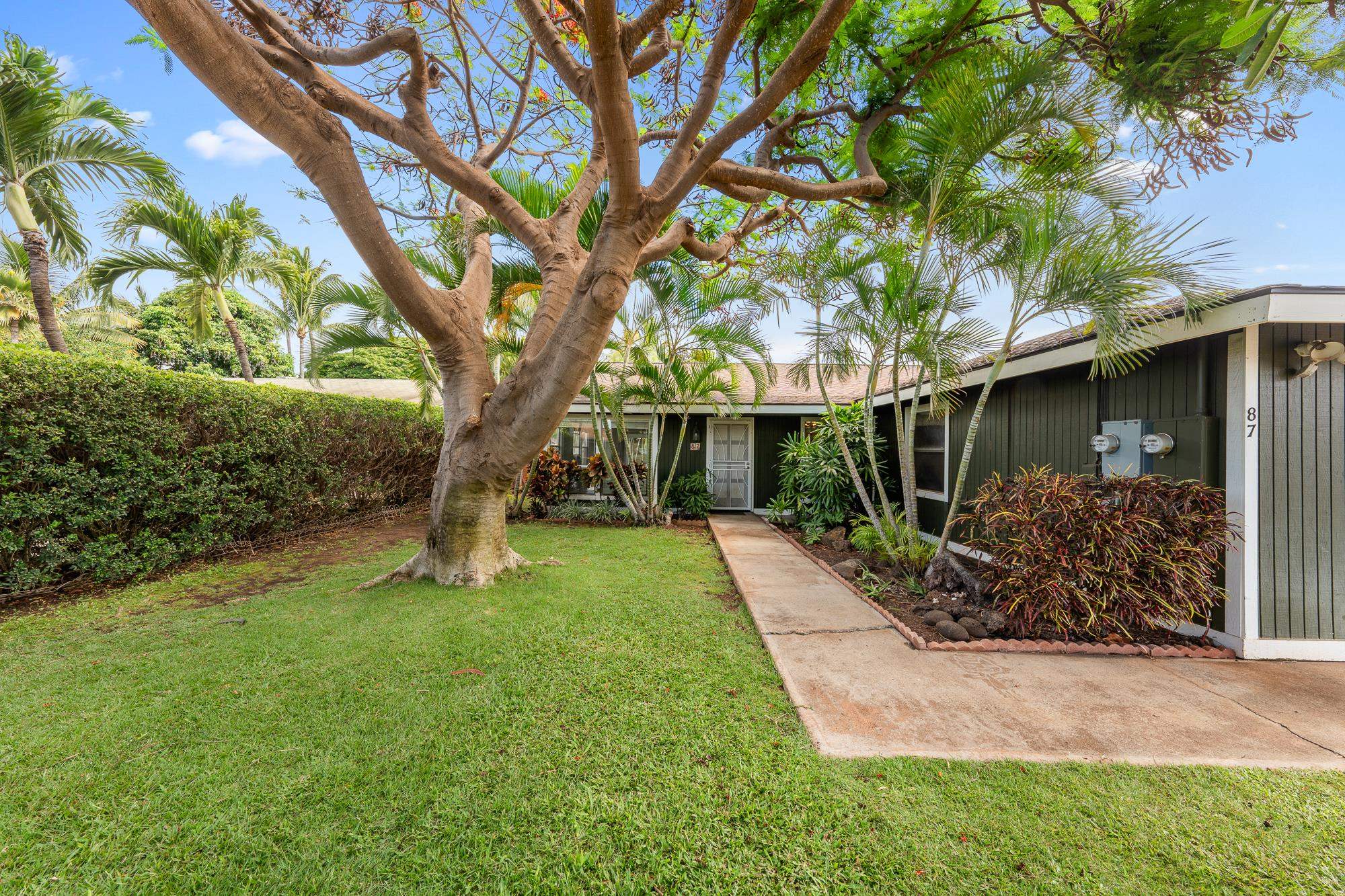 87  Alena Pl , Kihei home - photo 7 of 49