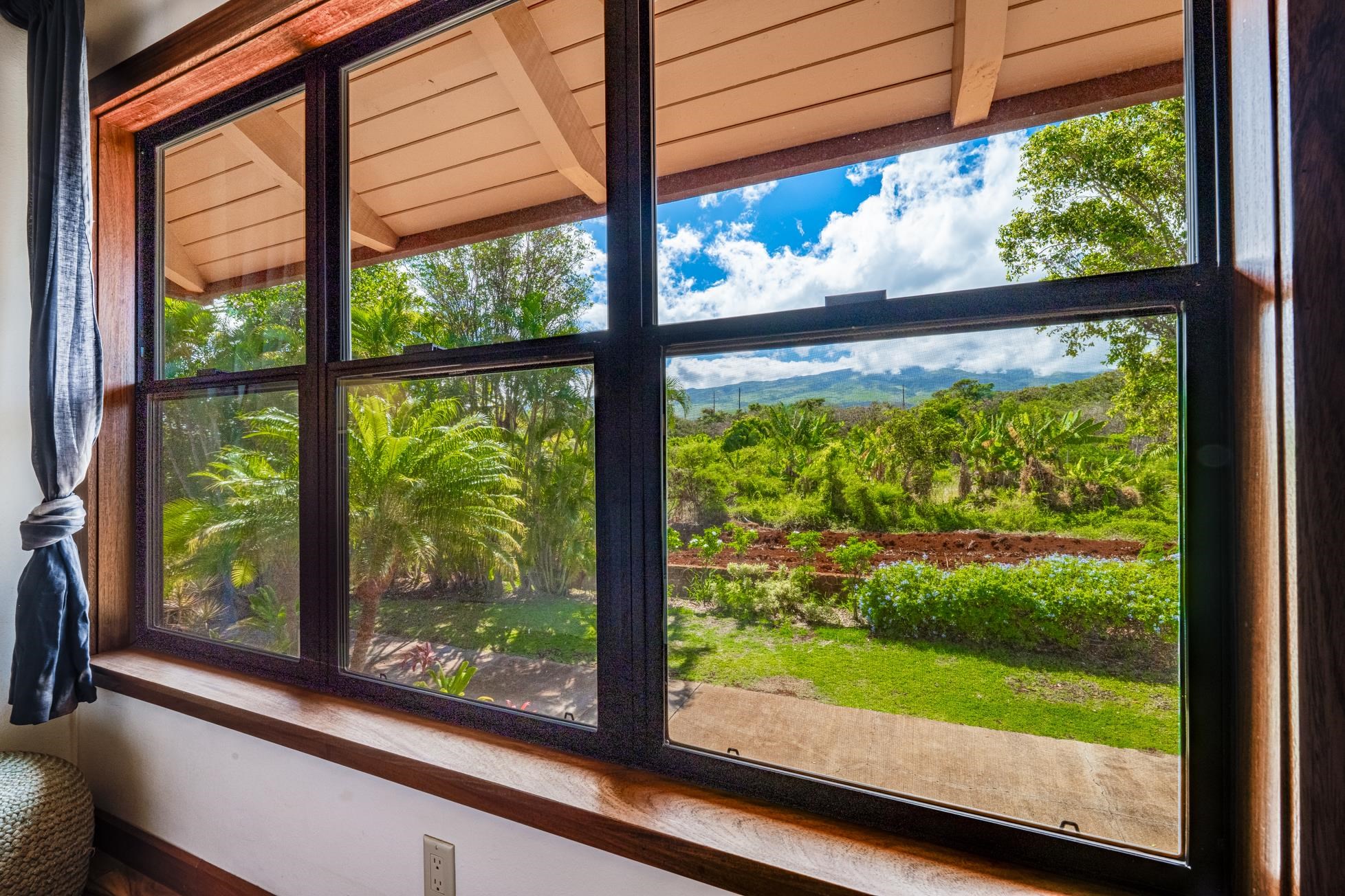 87  Hakui Loop Kaanapali, Kaanapali home - photo 48 of 50