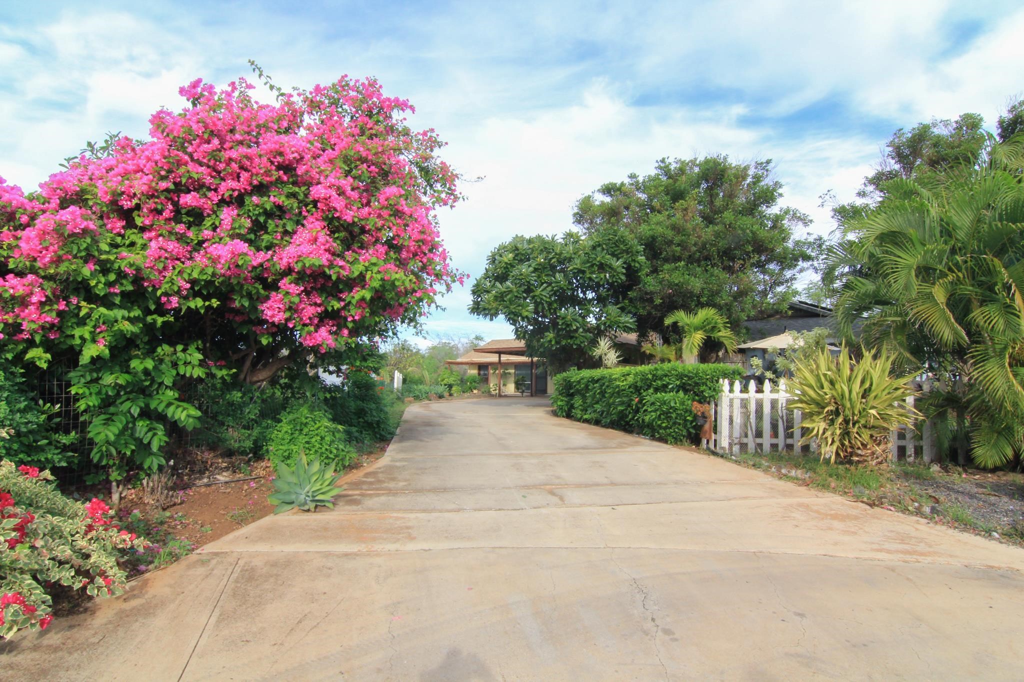 87 Miha Pl , Kihei, Hi 967537911 Kalama View