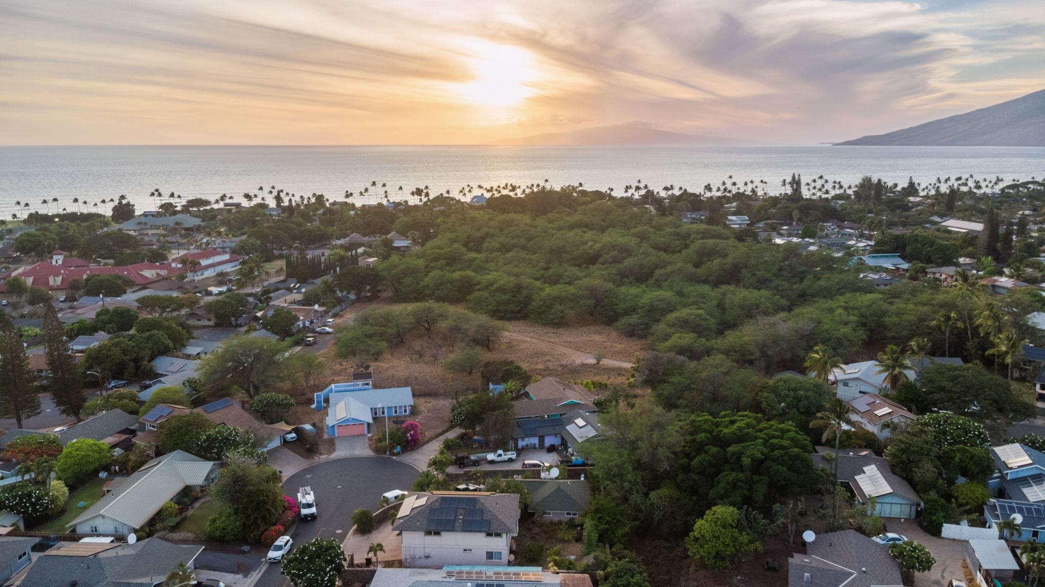 87  Miha Pl Central Kihei, Kihei home - photo 47 of 50