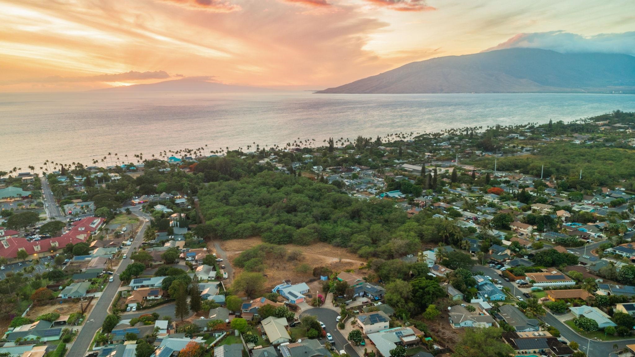 87  Miha Pl Central Kihei, Kihei home - photo 8 of 50