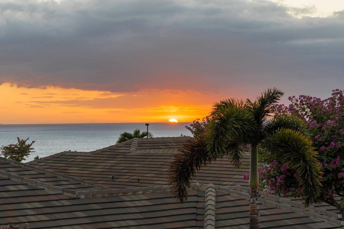 Kanani Wailea condo # 17, Kihei, Hawaii - photo 50 of 50