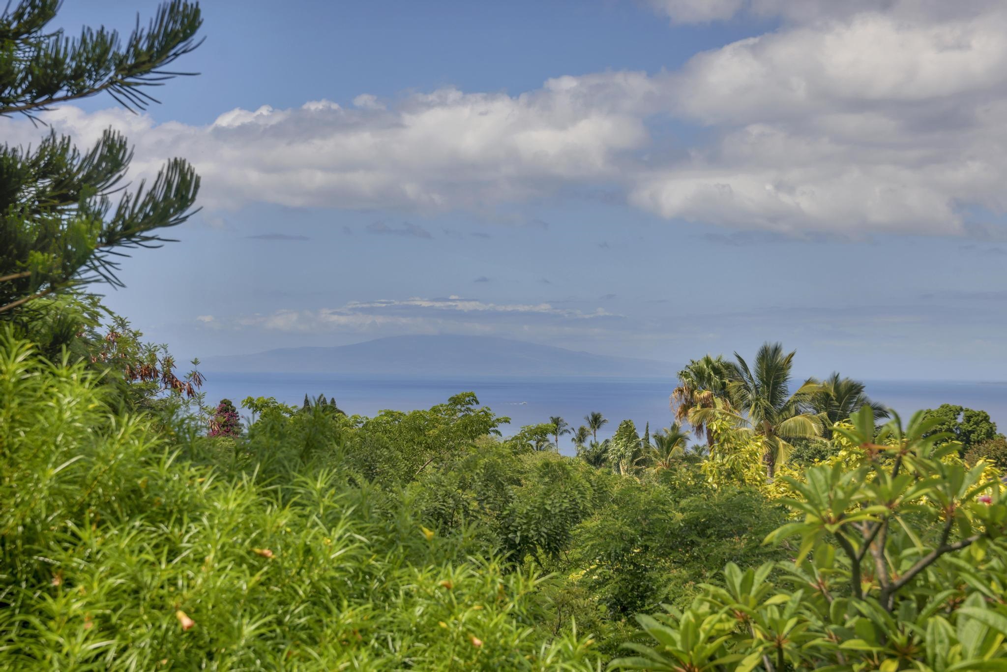 870  Kupulau Dr Maui Meadows, Maui Meadows home - photo 43 of 50