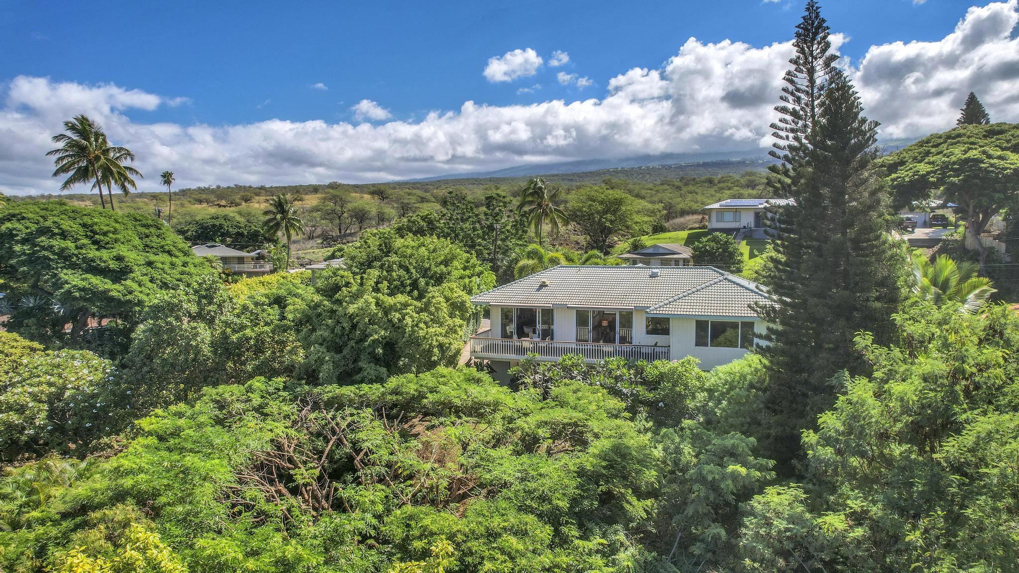 870  Kupulau Dr Maui Meadows, Maui Meadows home - photo 47 of 50