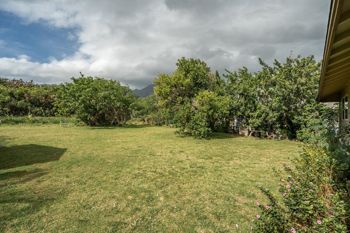 88  Kuukama St , Kahului home - photo 31 of 32