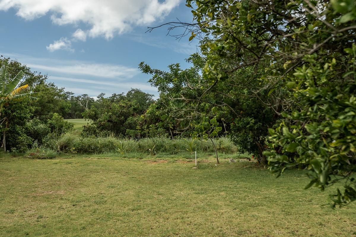 88  Kuukama St , Kahului home - photo 32 of 32