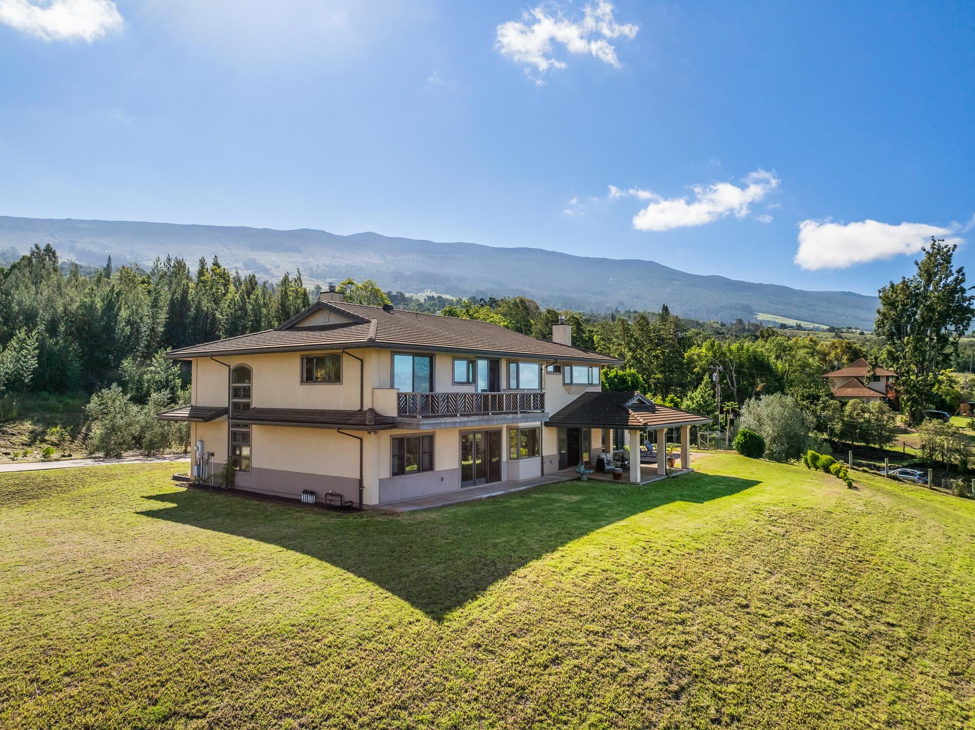 885  Pulehuiki Rd Pulehuiki, Kula/Ulupalakua/Kanaio home - photo 44 of 50