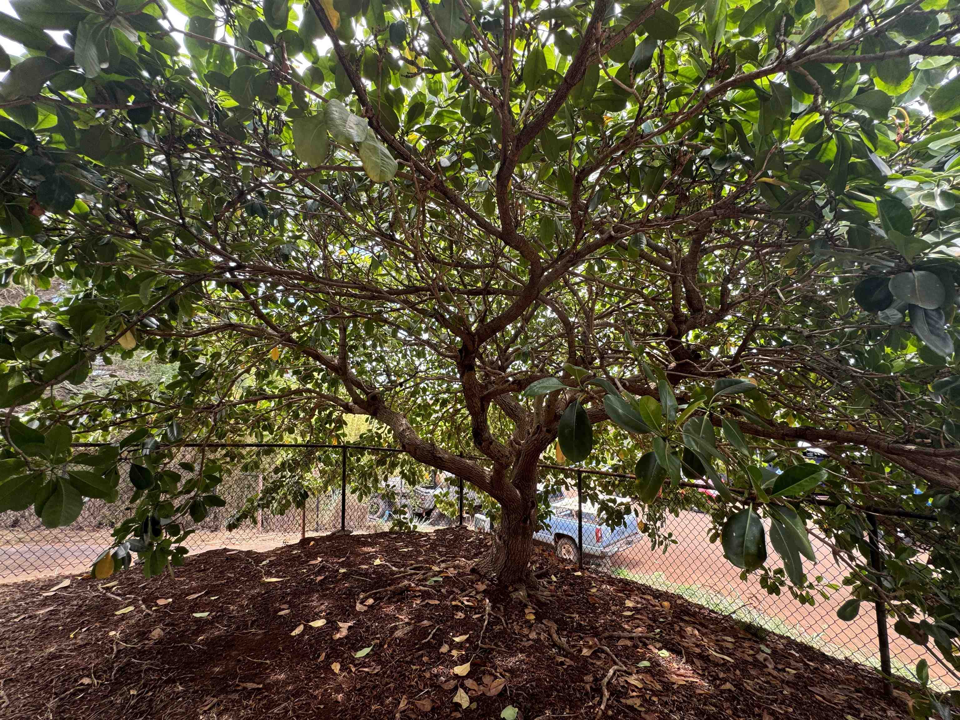 89  Hoaikane St , Molokai home - photo 6 of 28