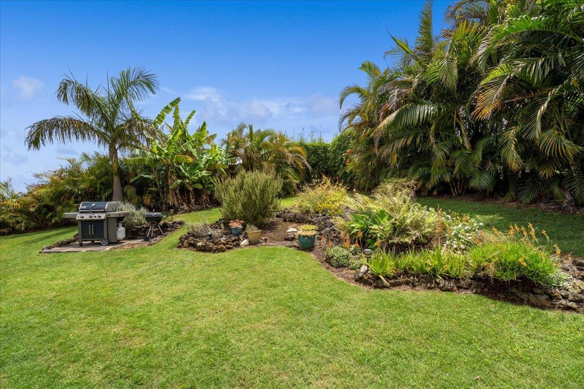 89  Holomakani Dr , Kula/Ulupalakua/Kanaio home - photo 35 of 45