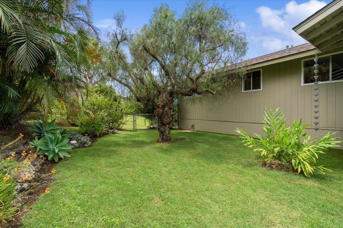89  Holomakani Dr , Kula/Ulupalakua/Kanaio home - photo 41 of 45