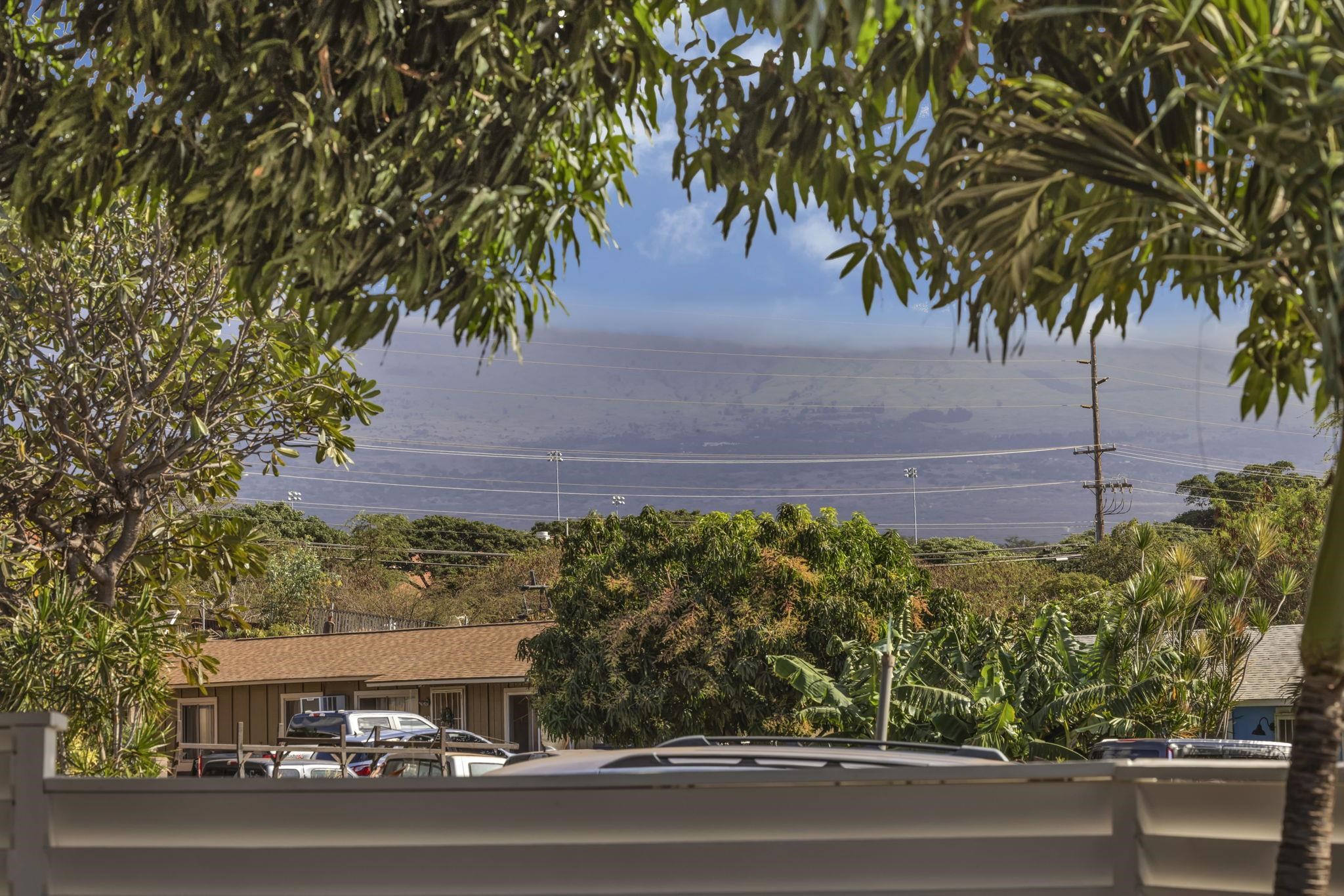 89  Kupalaiki Loop Kauhale Nani, Kihei home - photo 25 of 28