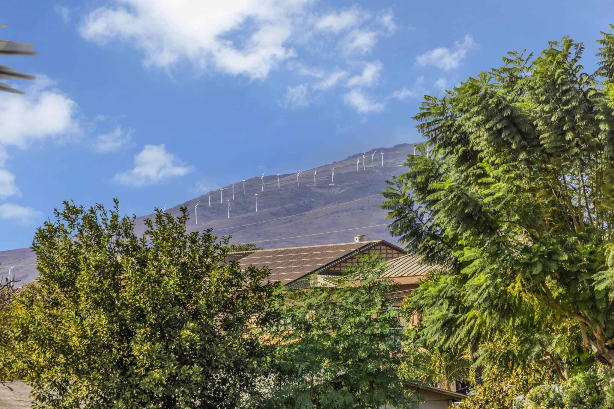 89  Kupalaiki Loop Kauhale Nani, Kihei home - photo 26 of 28