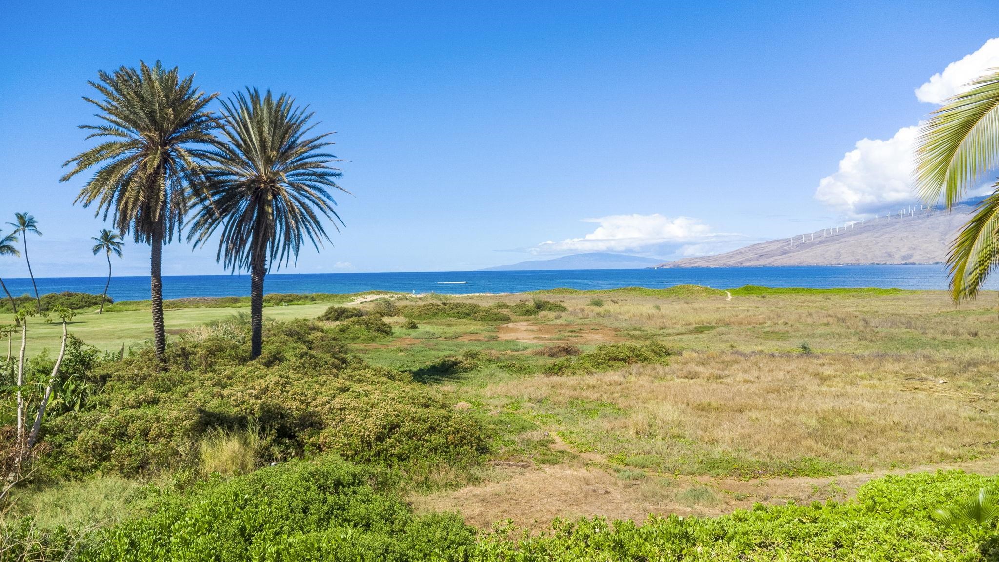 892 S Kihei Rd   - photo 2 of 22