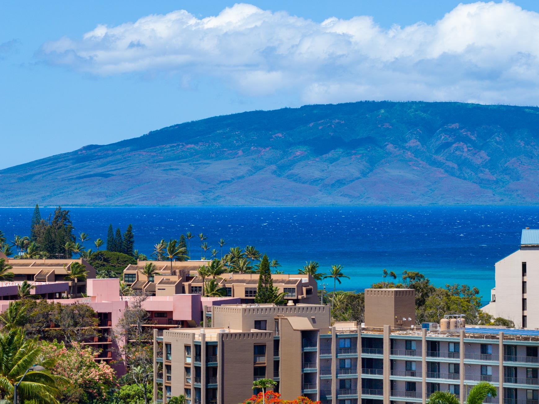 9  Fern Pl Kahana Ridge, Napili/Kahana/Honokowai home - photo 4 of 49