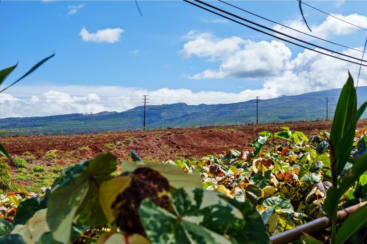 9  Puu Hale St Kaanapali, Kaanapali home - photo 37 of 44