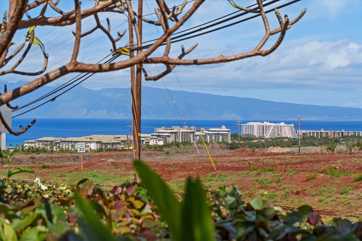 9  Puu Hale St Kaanapali, Kaanapali home - photo 38 of 44