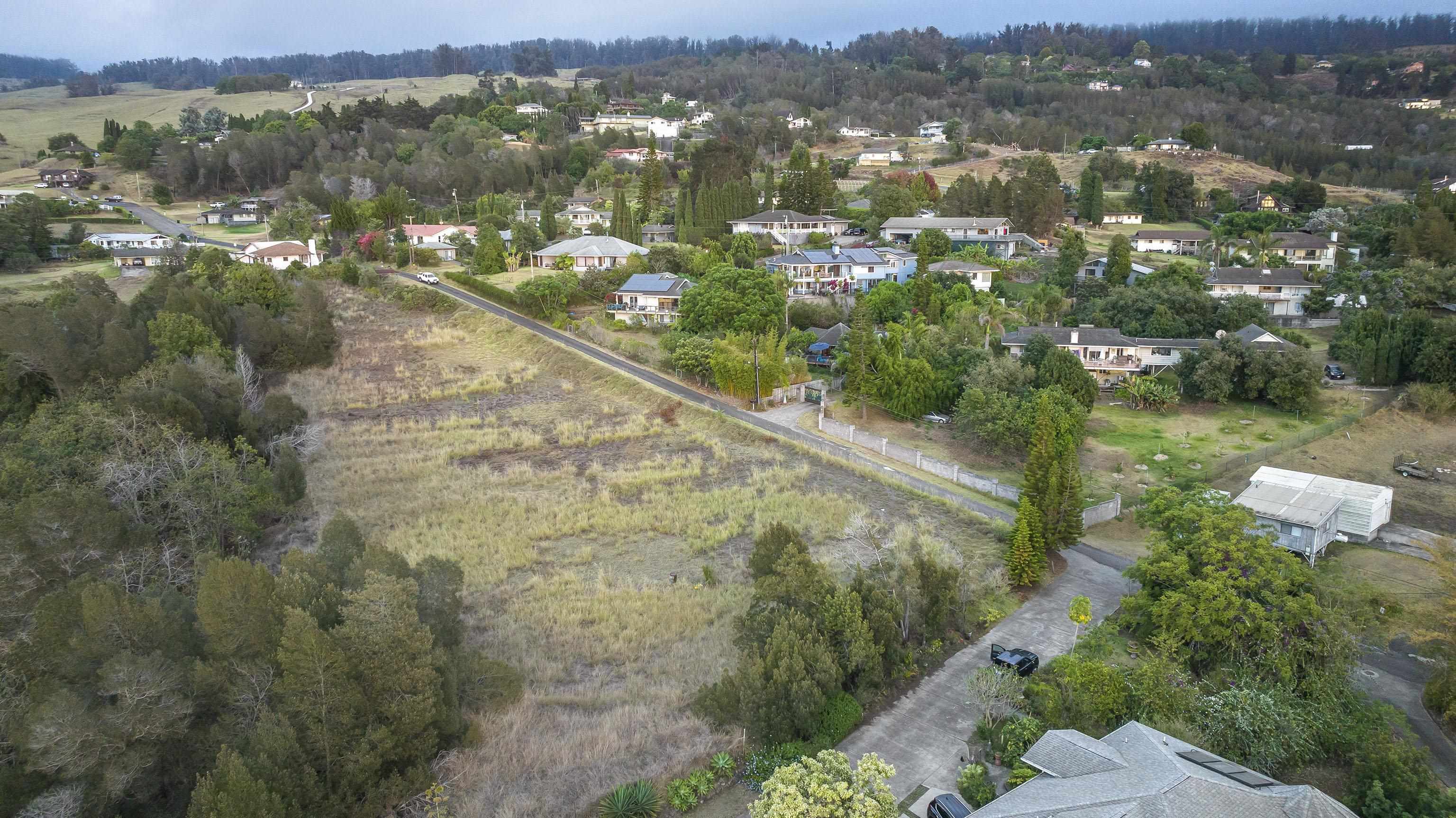 90 ALANUILILI Pl  Kula, Hi vacant land for sale - photo 11 of 16