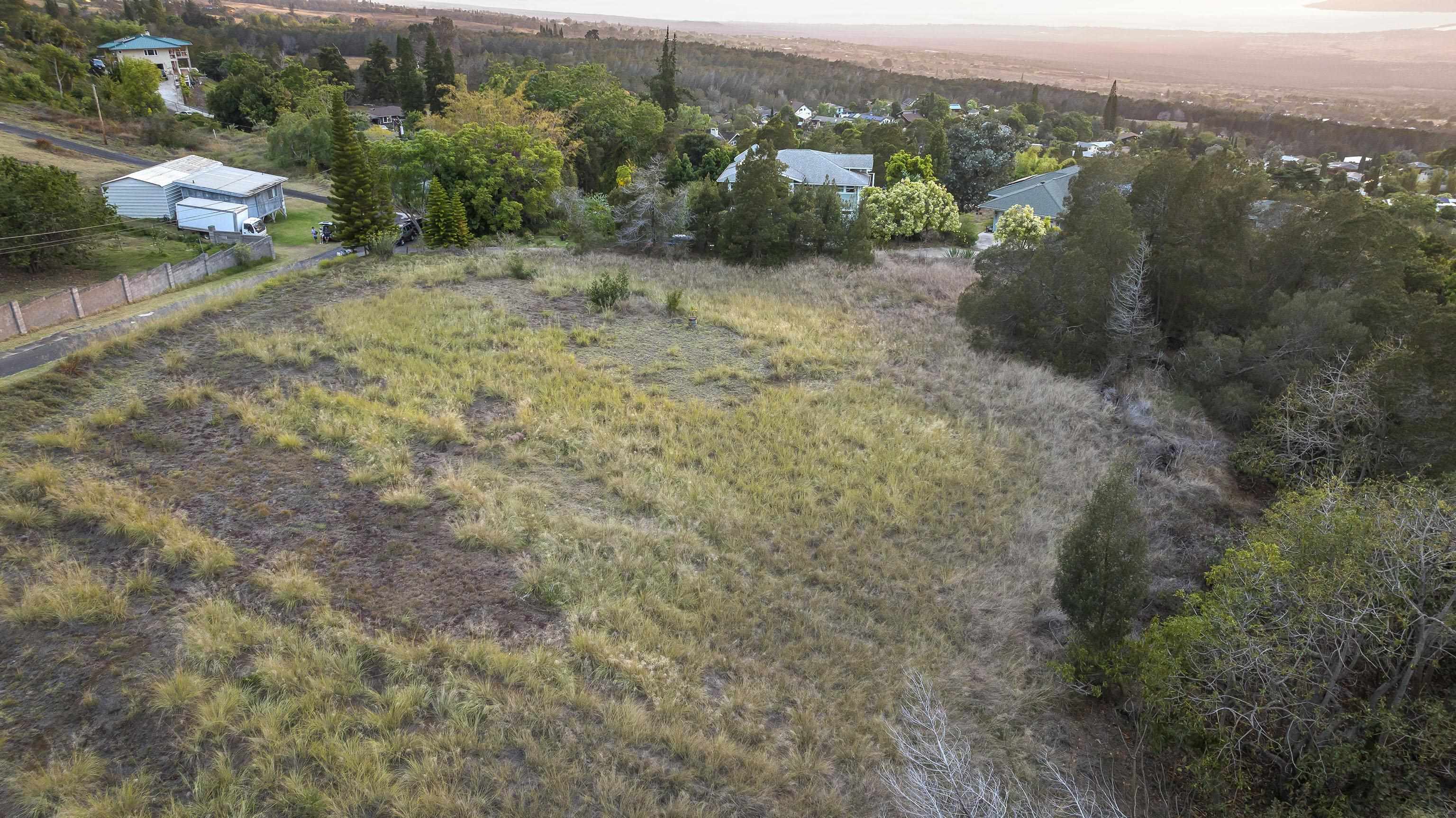 90 ALANUILILI Pl  Kula, Hi vacant land for sale - photo 5 of 16