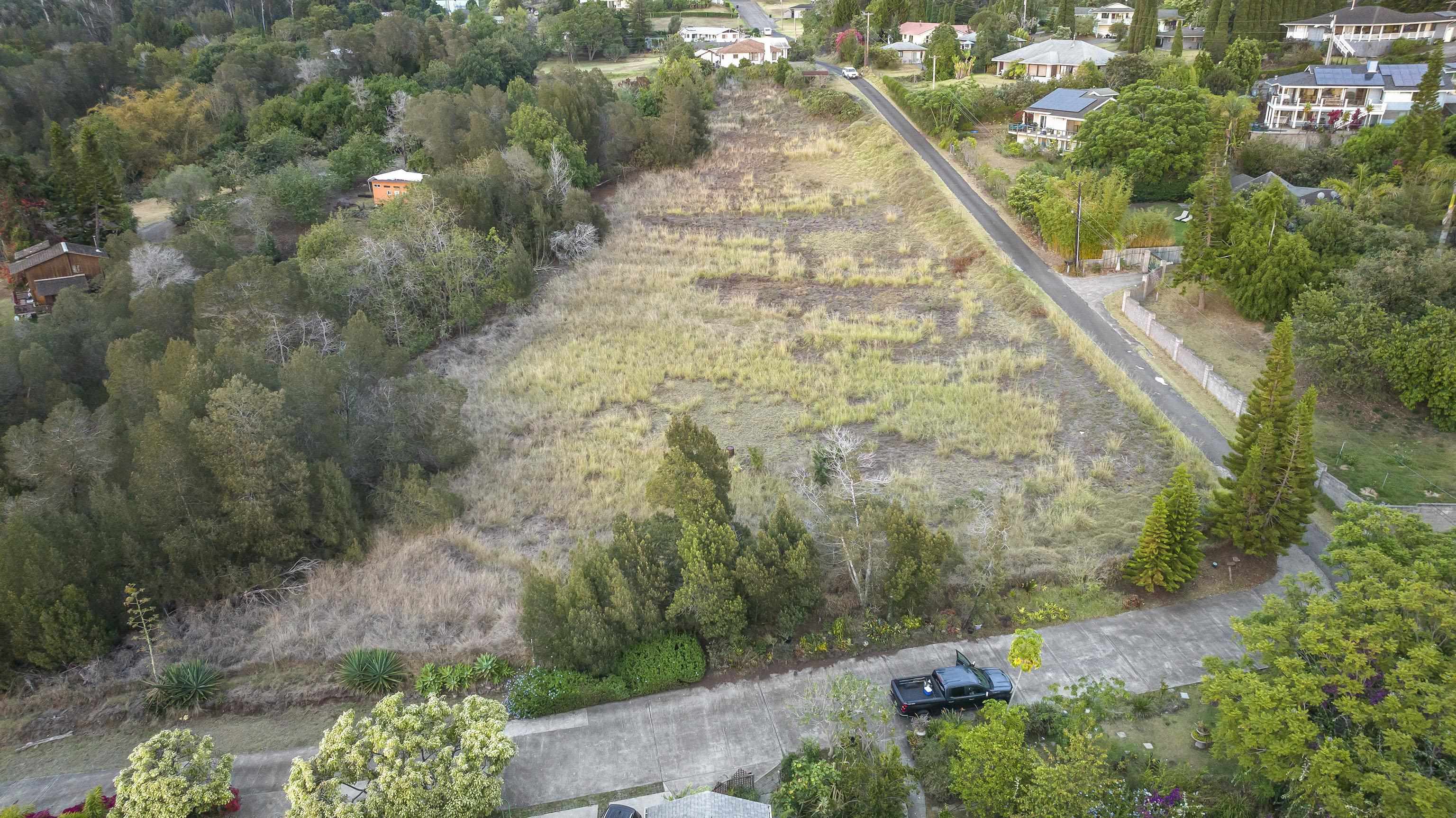 90 ALANUILILI Pl  Kula, Hi vacant land for sale - photo 10 of 16