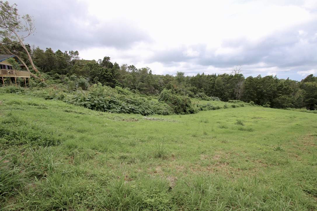 90 Anuenue Pl  Kula, Hi vacant land for sale - photo 22 of 30