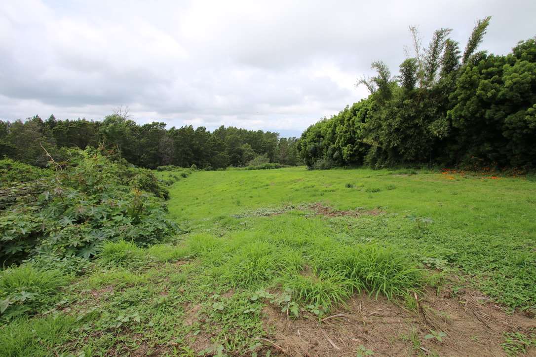 90 Anuenue Pl  Kula, Hi vacant land for sale - photo 29 of 30