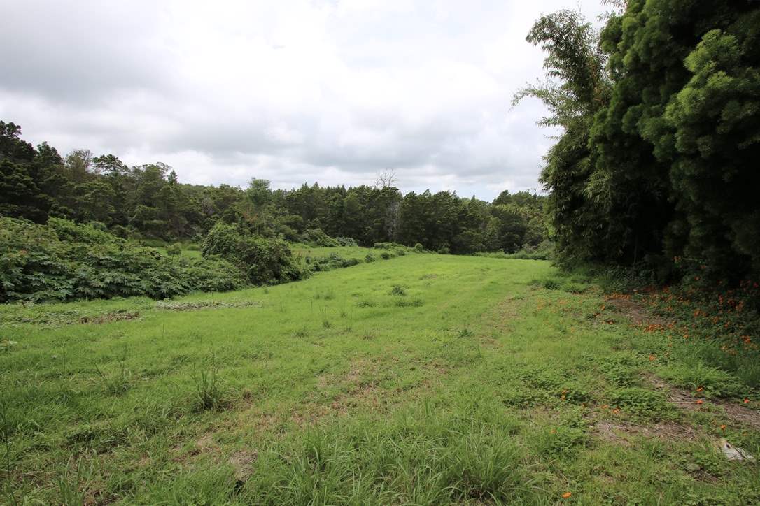 90 Anuenue Pl  Kula, Hi vacant land for sale - photo 5 of 30