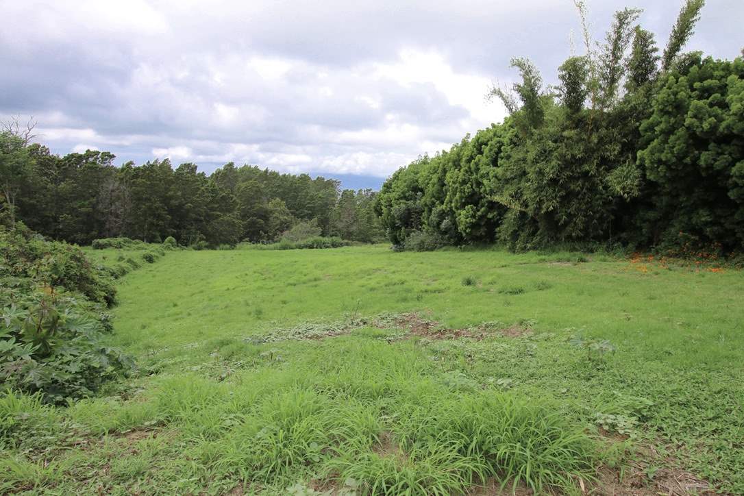 90 Anuenue Pl  Kula, Hi vacant land for sale - photo 6 of 30