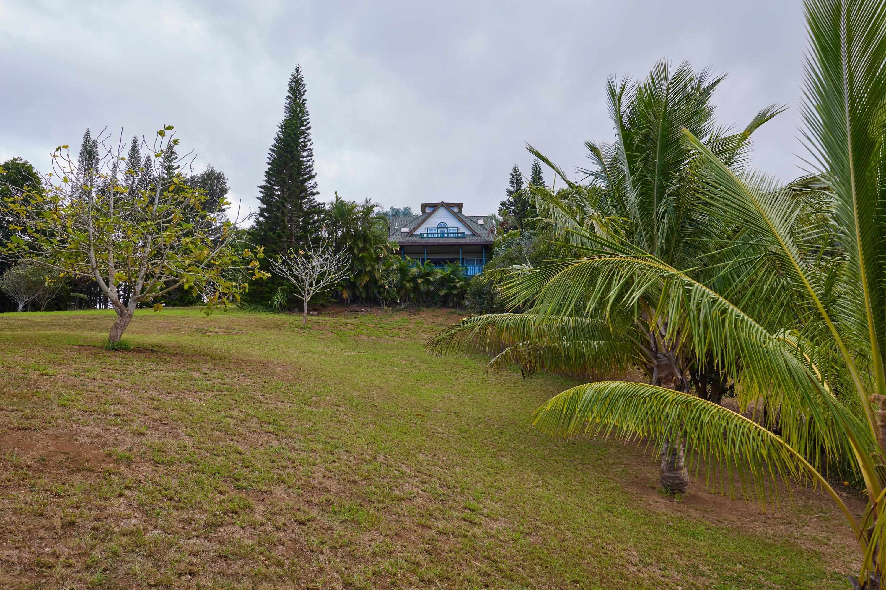 90  Hakuhee Way Kahakuloa, Kahakuloa home - photo 27 of 50