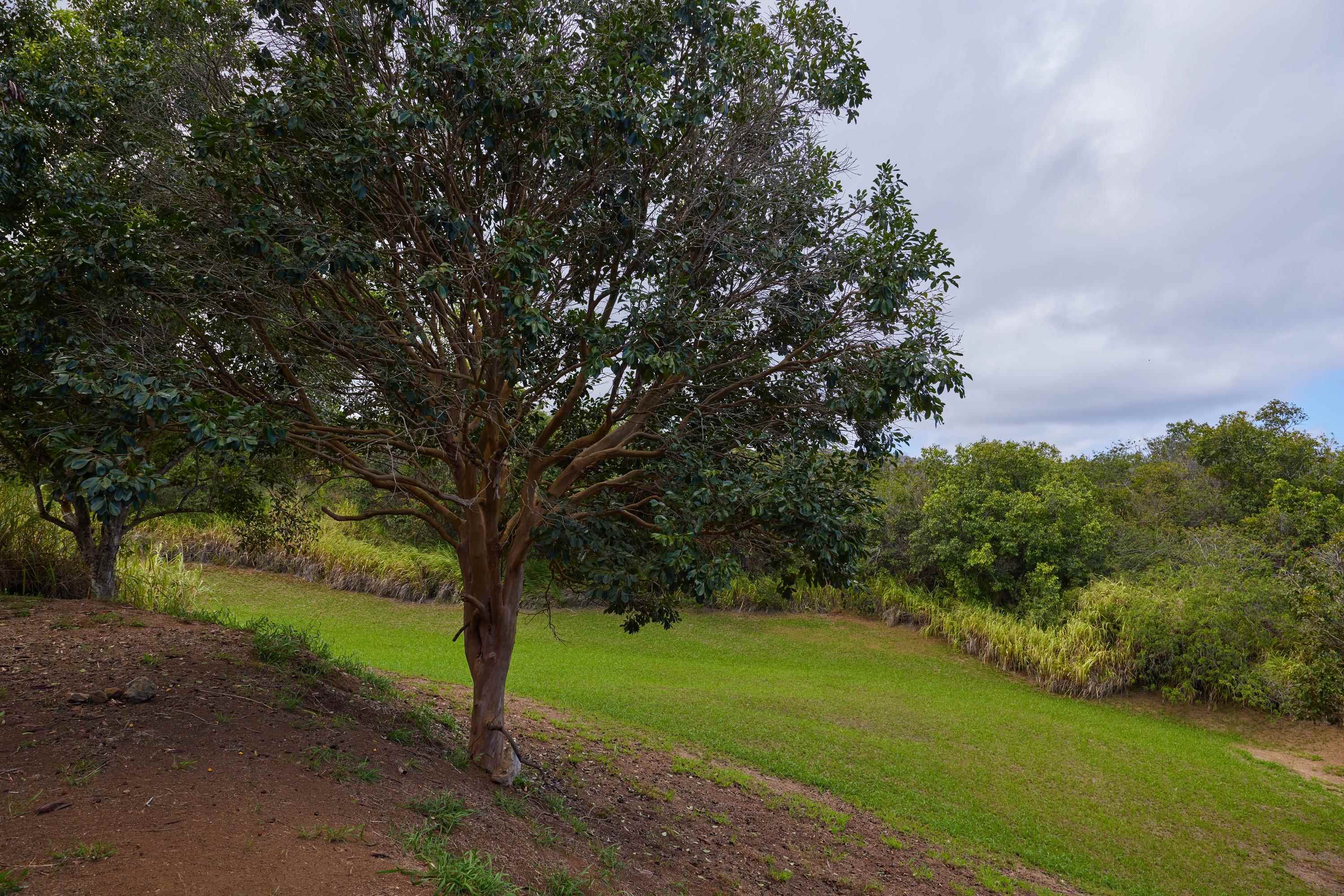 90  Hakuhee Way Kahakuloa, Kahakuloa home - photo 49 of 50