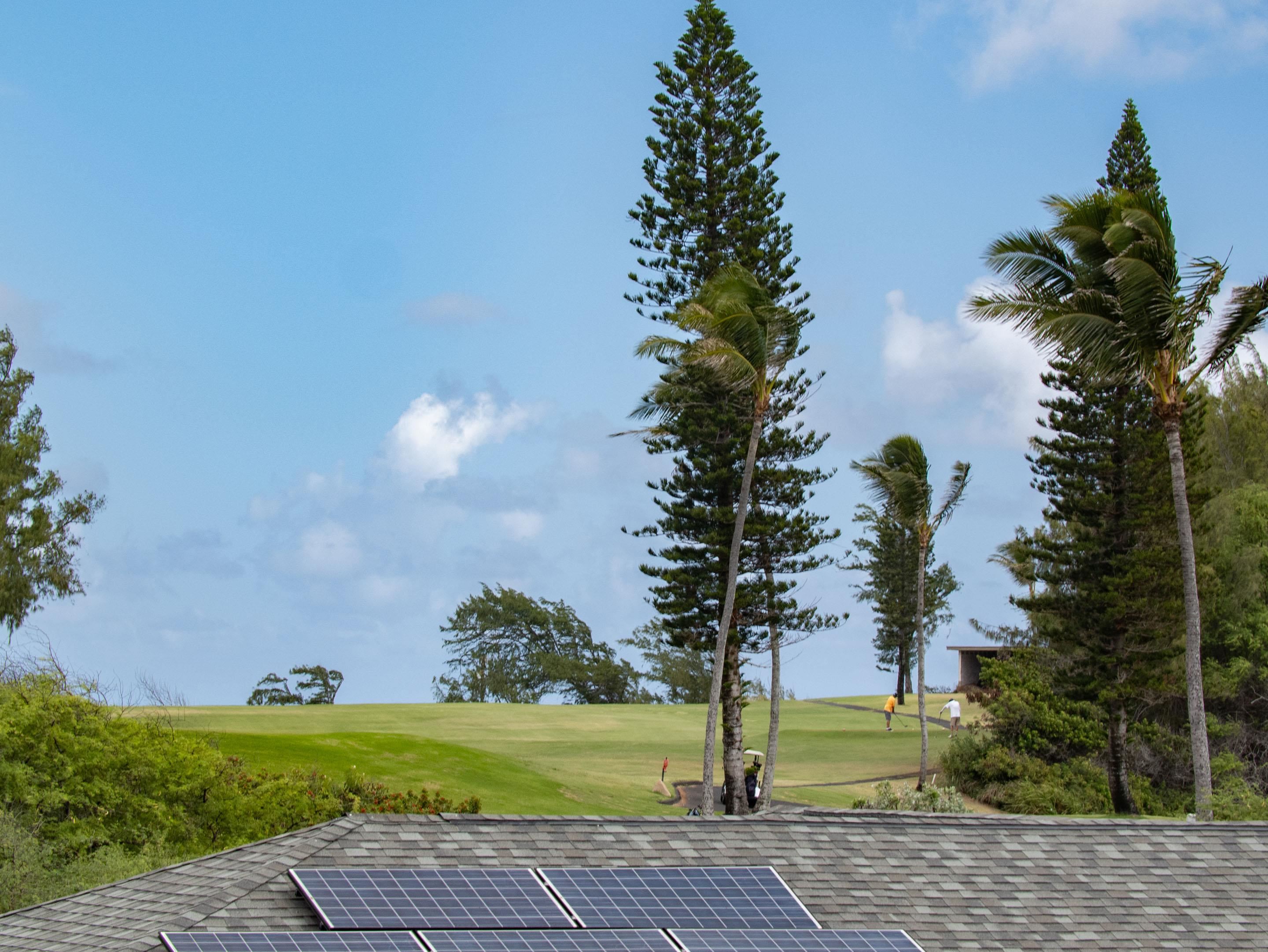 90  Hoauna St Ocean View Estates, Wailuku home - photo 17 of 36