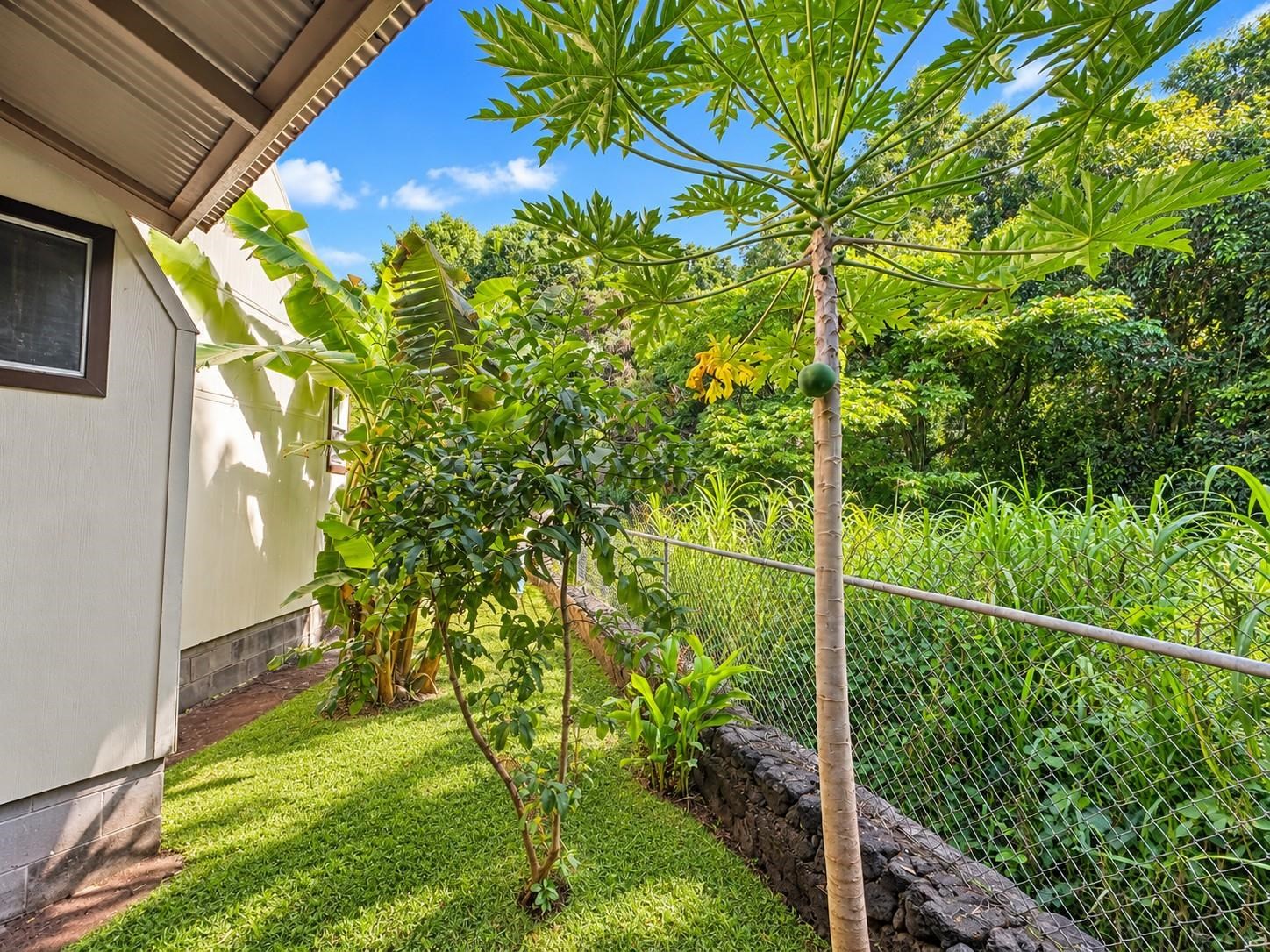9046  Kamehameha V Hwy , Molokai home - photo 27 of 28