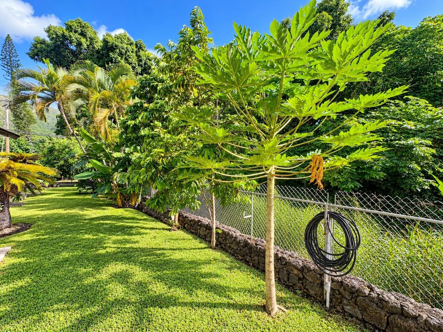9046  Kamehameha V Hwy , Molokai home - photo 28 of 28