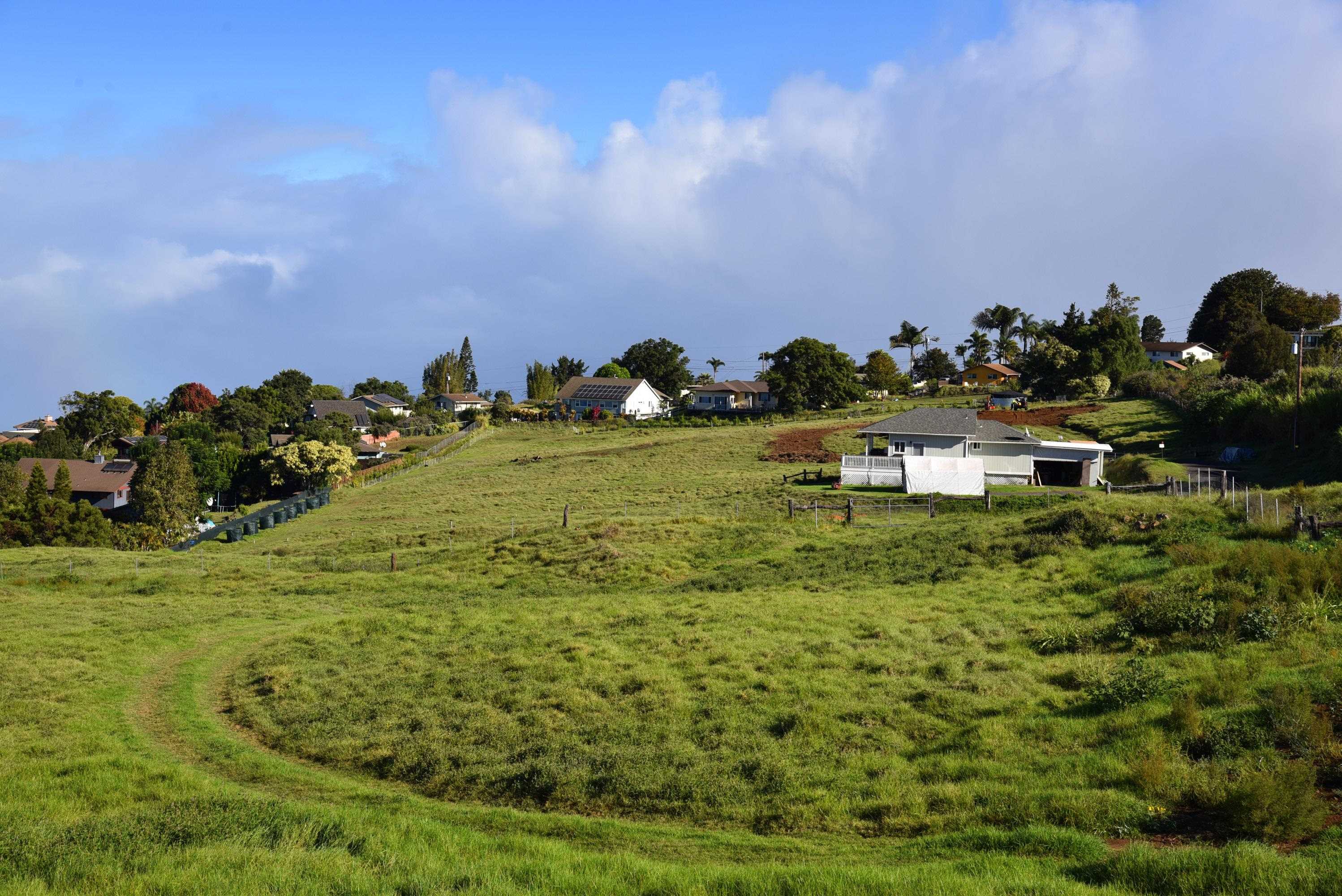 909  Copp Rd Kula, Kula/Ulupalakua/Kanaio home - photo 42 of 47